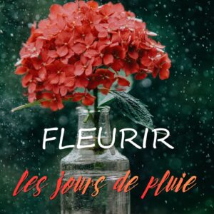 Fleurir les jours de pluie